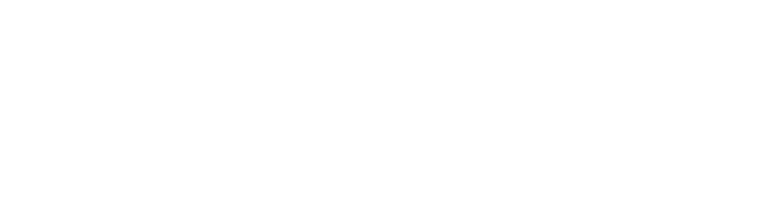 PinPeople Logo