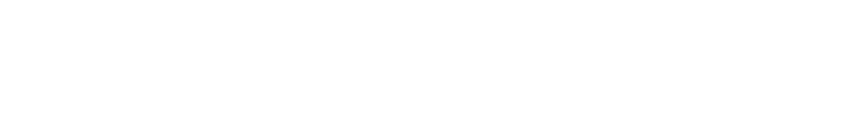 HumanShip Logo