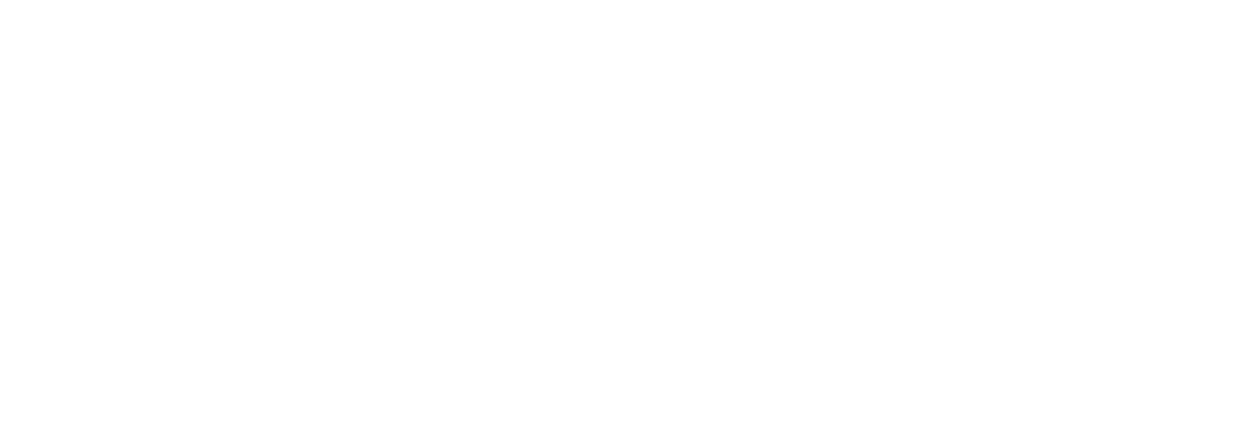 Flash Logo